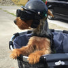 Helmet and Protective Goggles for Dogs – Stylish and Safe