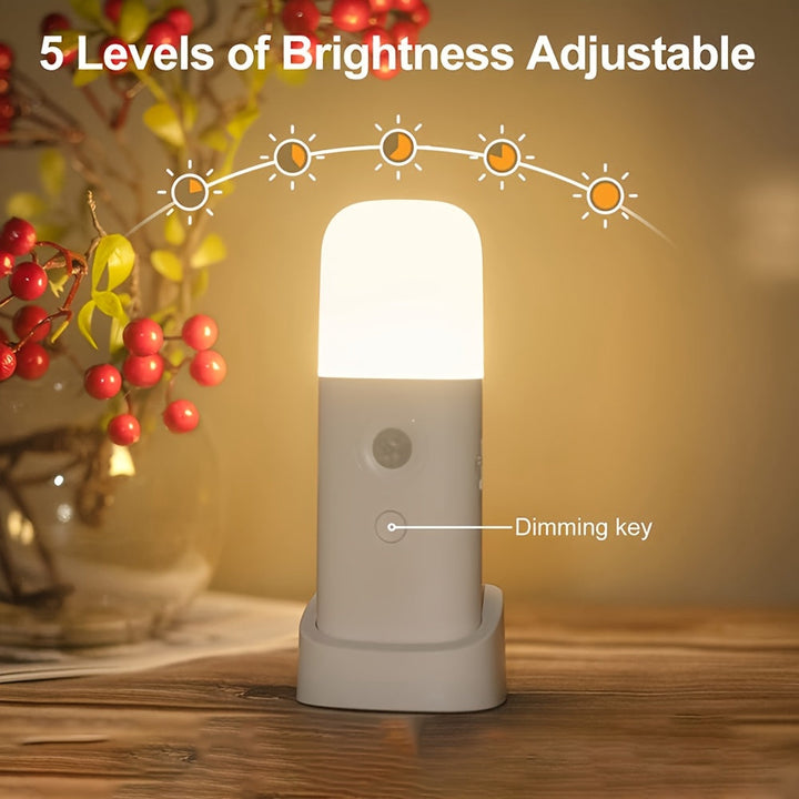 LED Night Light with Motion Sensor – USB Rechargeable and Adjustable Brightness for Bedrooms and Hallways