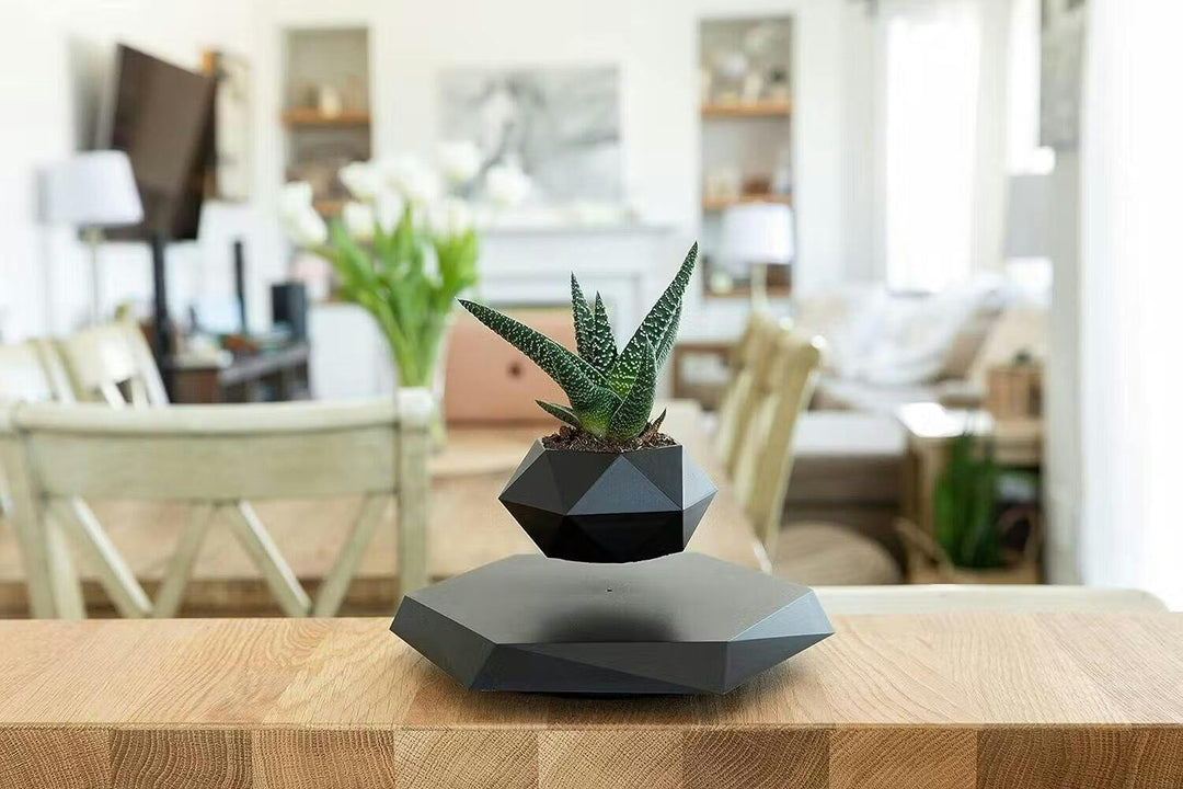 Liva Floating Plant Holder with Magnetic Levitation