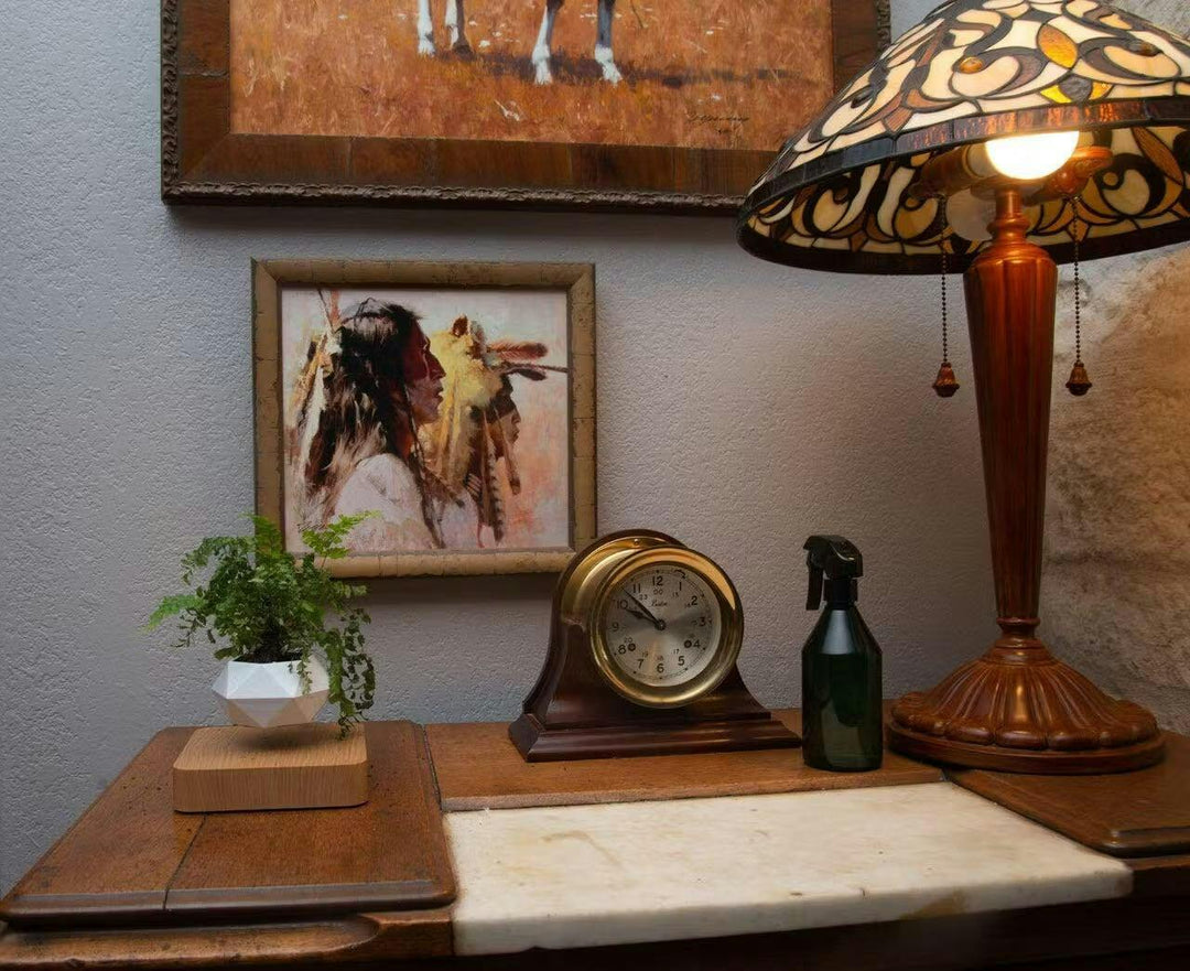 Liva Floating Plant Holder with Magnetic Levitation
