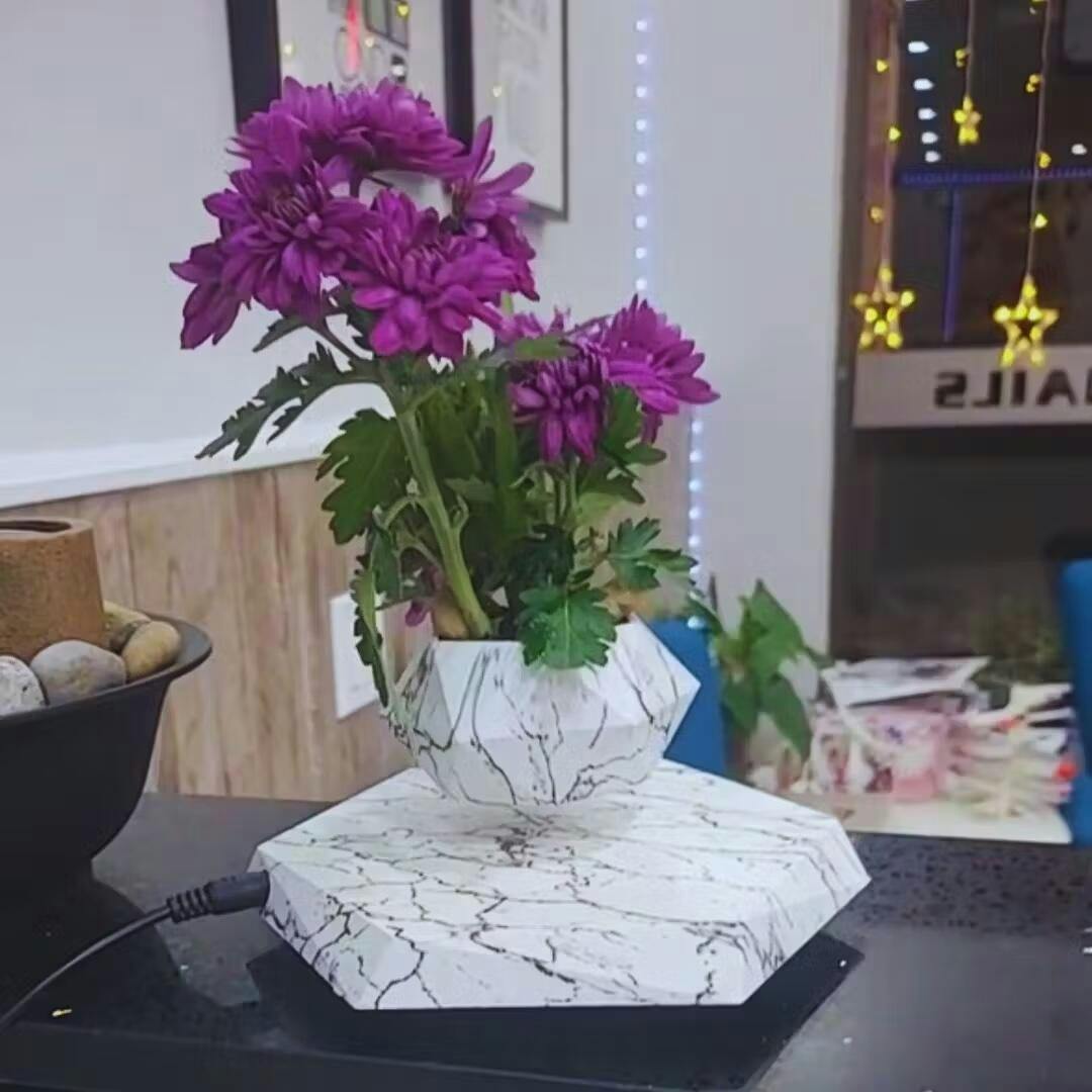 Liva Floating Plant Holder with Magnetic Levitation
