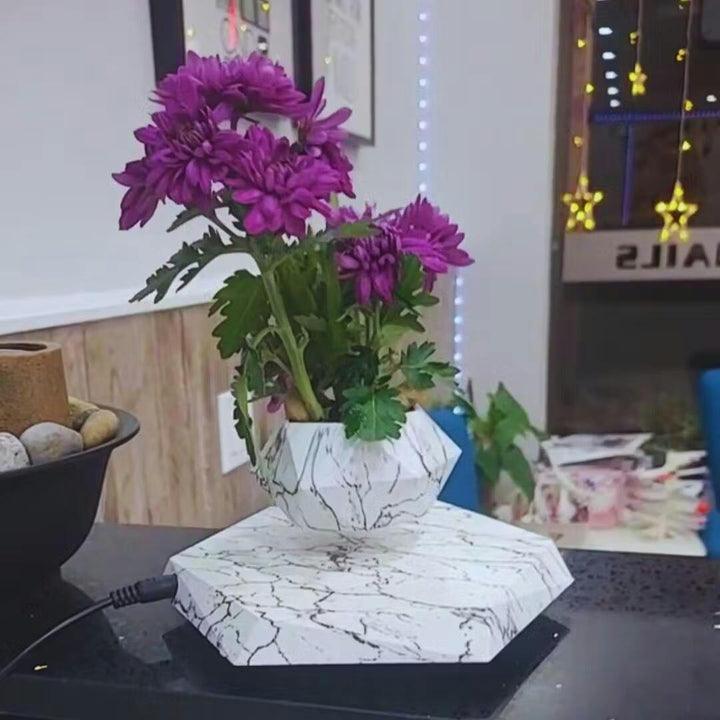 Liva Floating Plant Holder with Magnetic Levitation