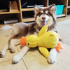 Calming Duck - For Your Dog's Happiness and Wellbeing