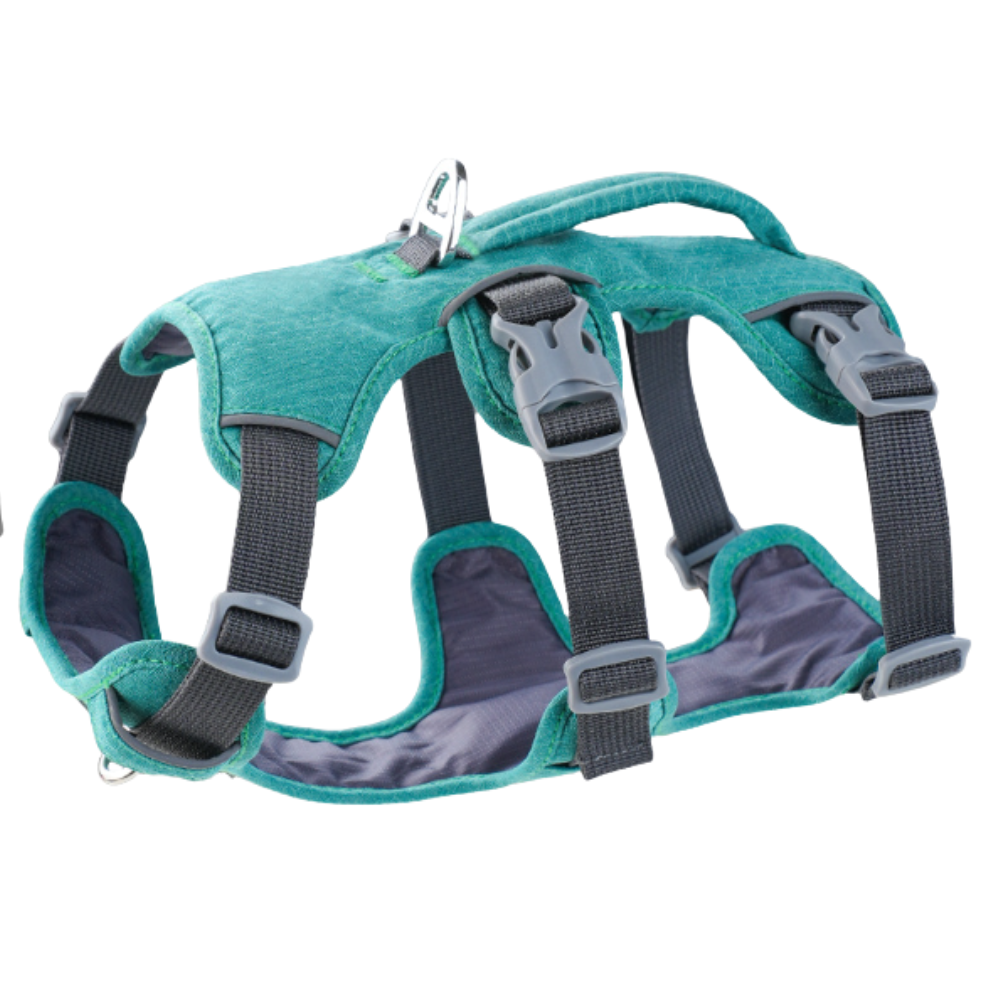 NobleWalk Dog Harness | Adjustable and Breathable Dog Harness with Reflective Stitching