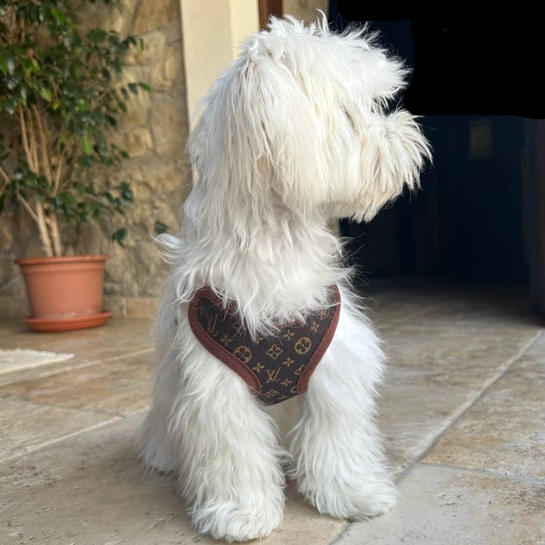 Harness and Lead Set – PawLuxe
