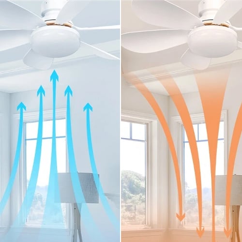 BreezeLux | 2-in-1 Ceiling Fan with Light