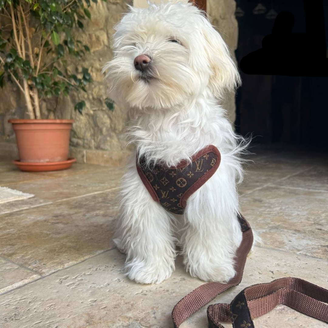 Harness and Lead Set – PawLuxe