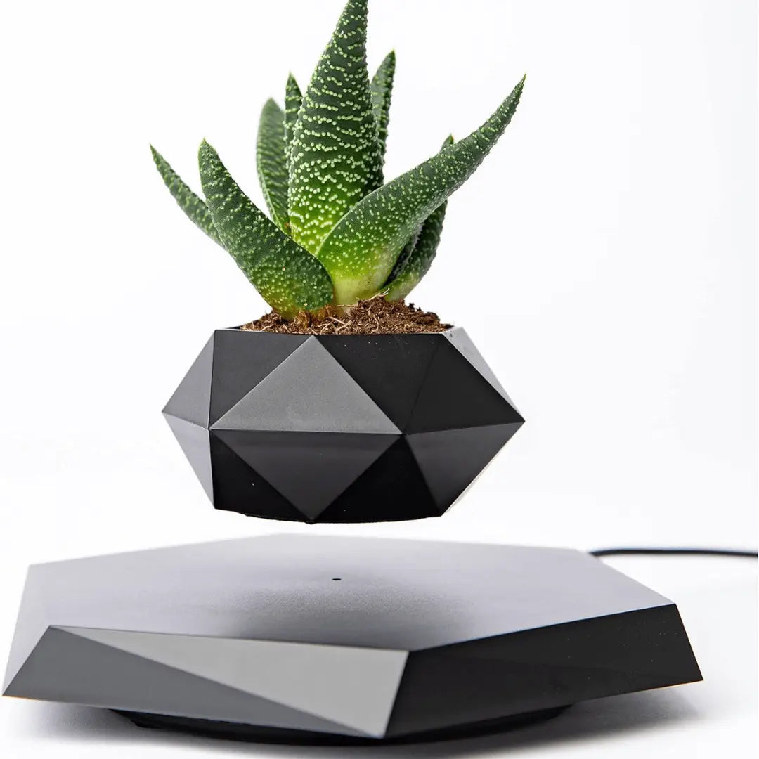 Liva Floating Plant Holder with Magnetic Levitation