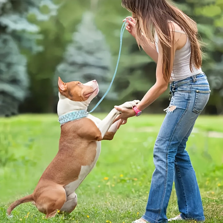 Adjustable Studded Dog Collar - Strong and Secure for Large Dogs