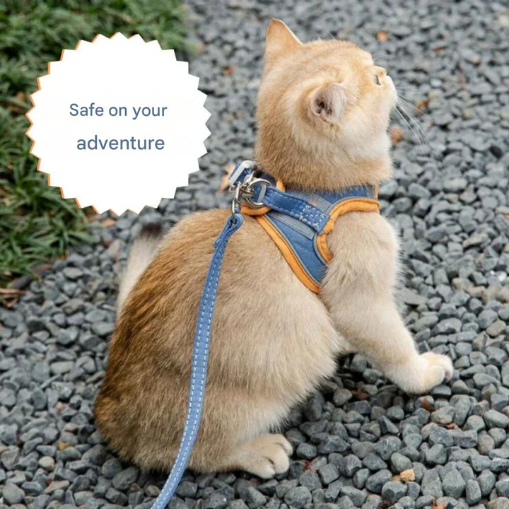 Adjustable Cat Harness with Lead – WhiskerWander