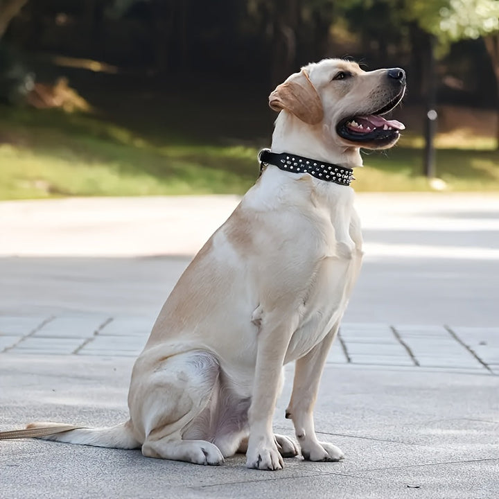 Adjustable Studded Dog Collar - Strong and Secure for Large Dogs