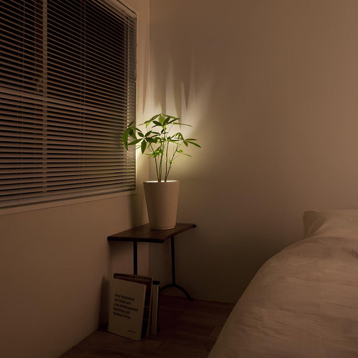 LumaSpot Wireless LED Spotlight