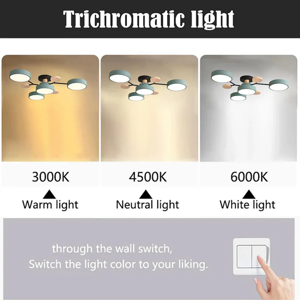 Flush Mount Ceiling Light Modern LED Room Illumination