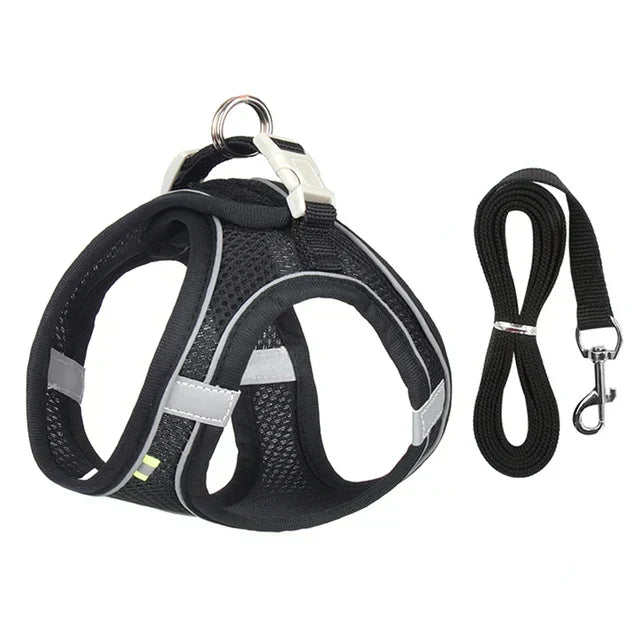 Adjustable Cat Harness with Lead – WhiskerWander