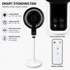 2026 powerful Adjustable fan with 3D oscillation