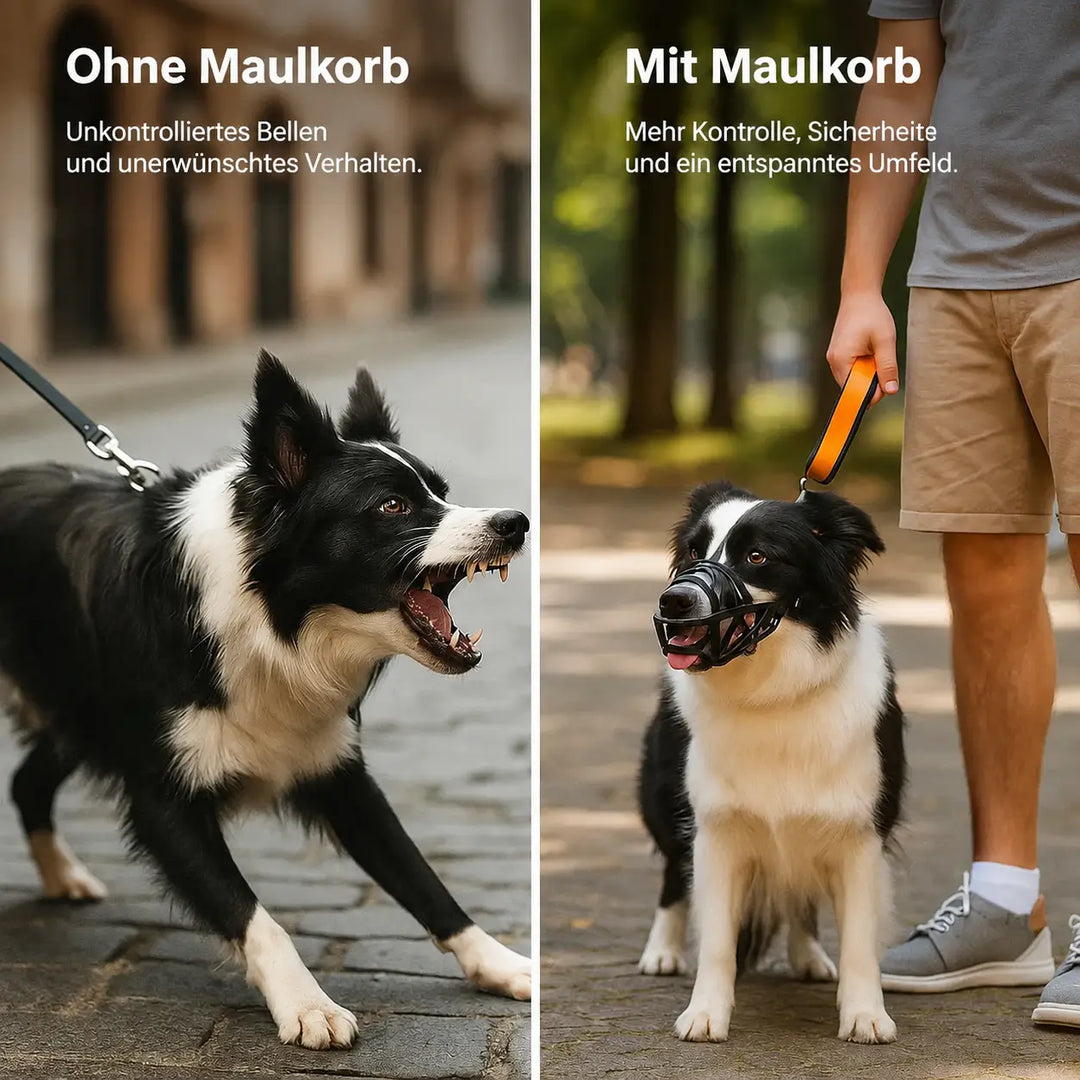 Dog Muzzle | Breathable & Adjustable for Training and Daily Use