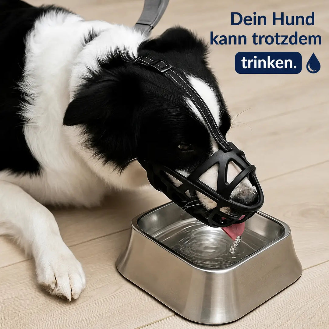 Dog Muzzle | Breathable & Adjustable for Training and Daily Use