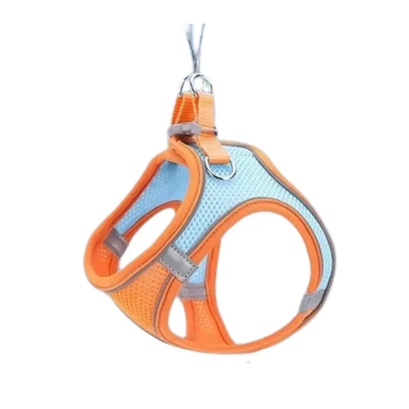 Adjustable Cat Harness with Lead – WhiskerWander