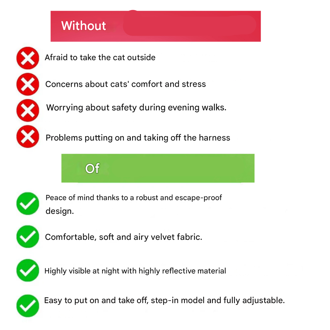 Adjustable Cat Harness with Lead – WhiskerWander