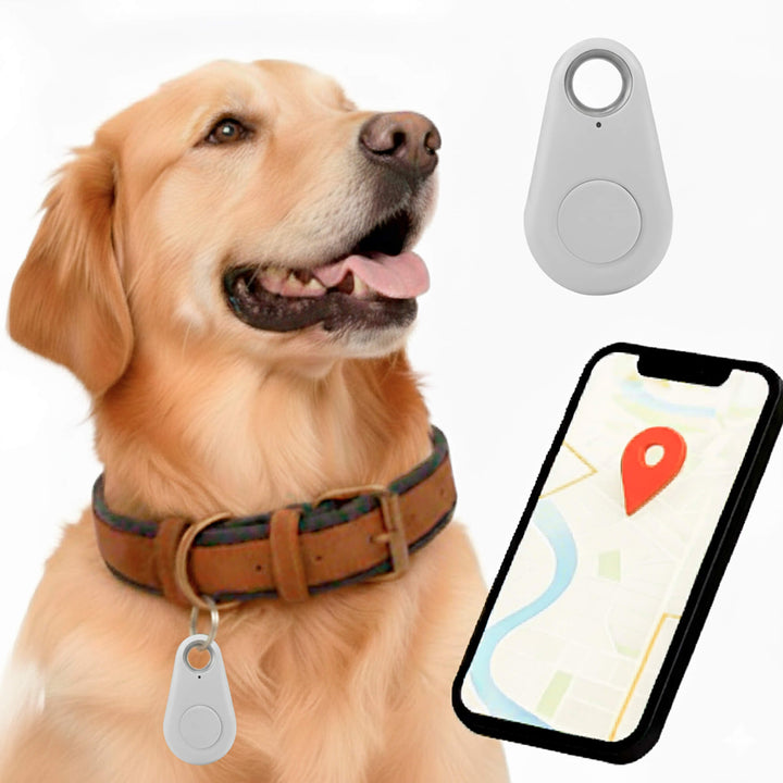 Reliable Dog GPS Tracker No Monthly Fees, Real‑Time Location Updates