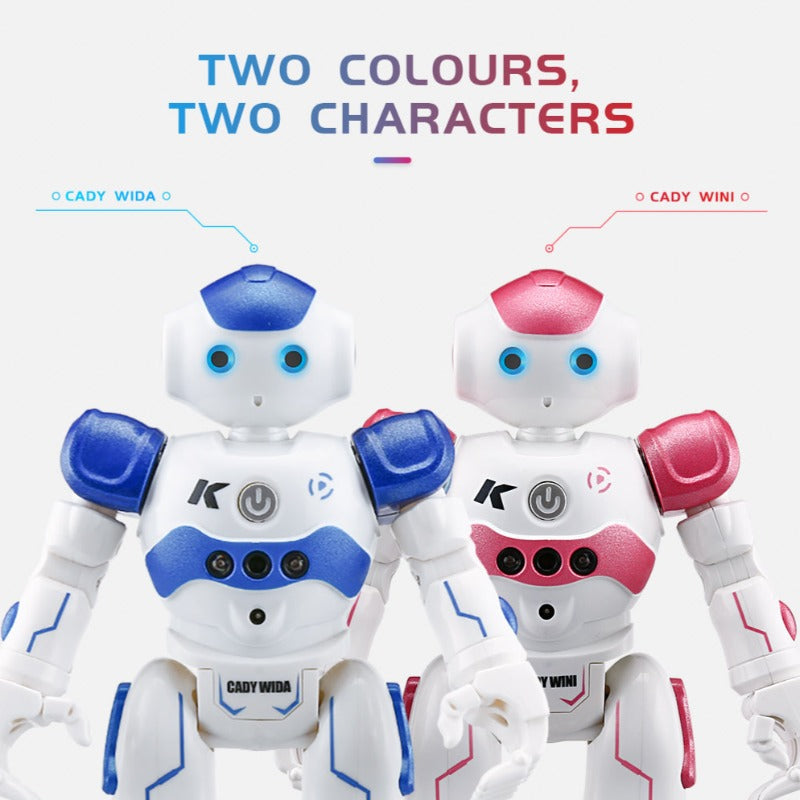 Interactive Educational Robot - NovaBot
