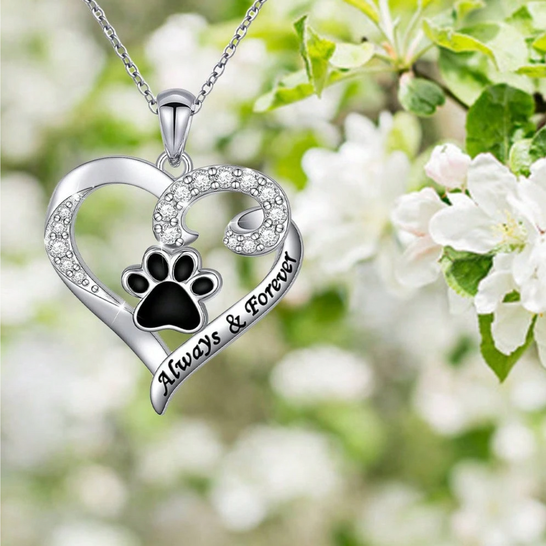 Dog Paw Necklace – Heart Design in Stainless Steel with Cubic Zirconia