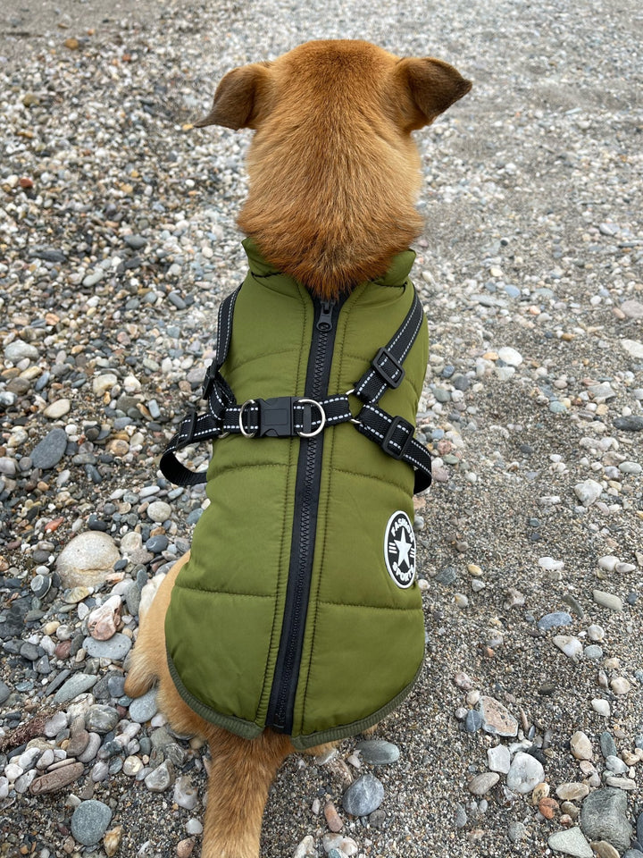 Reflective Windproof and Water-Repellent Dog Jacket with Built-In Harness