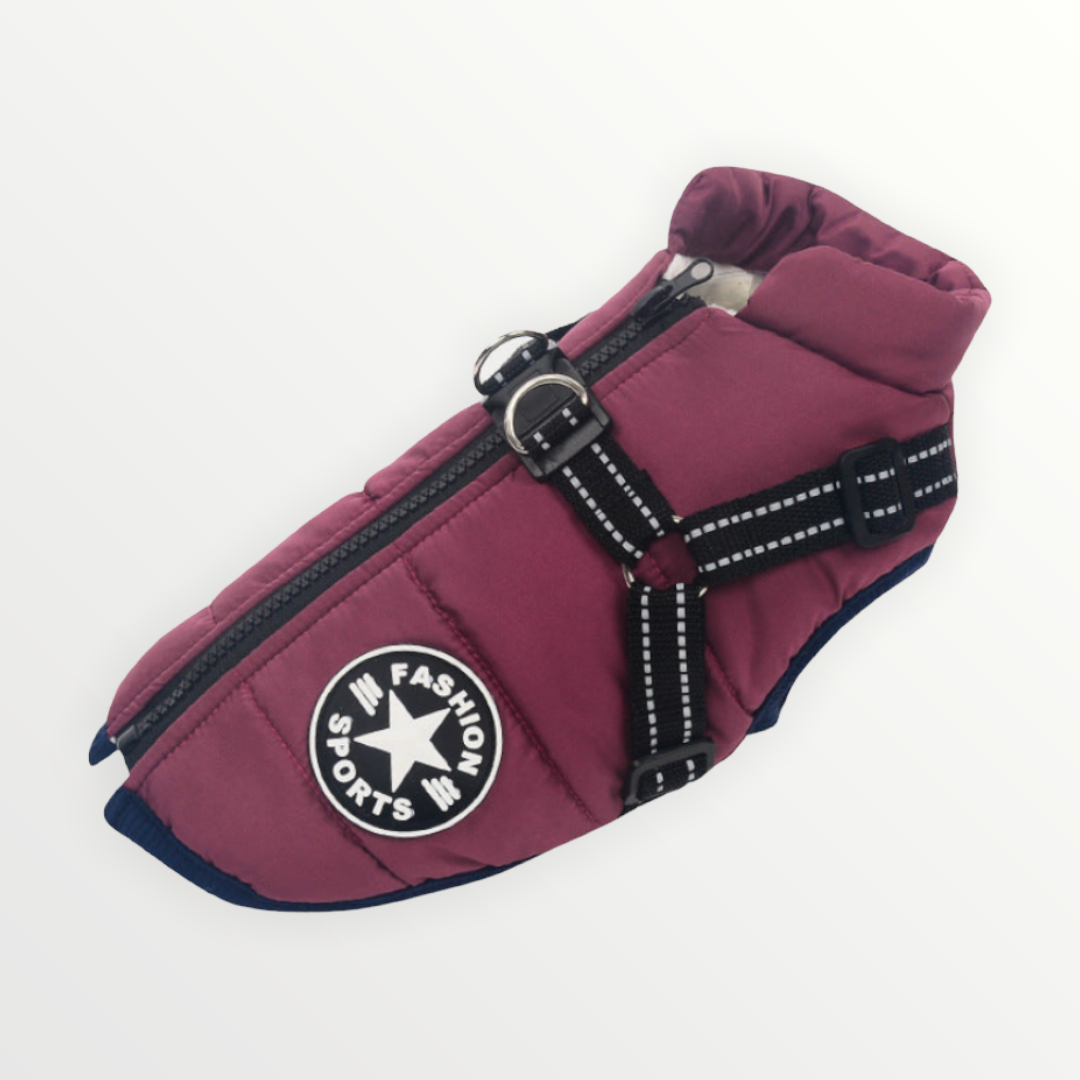 Reflective Windproof and Water-Repellent Dog Jacket with Built-In Harness