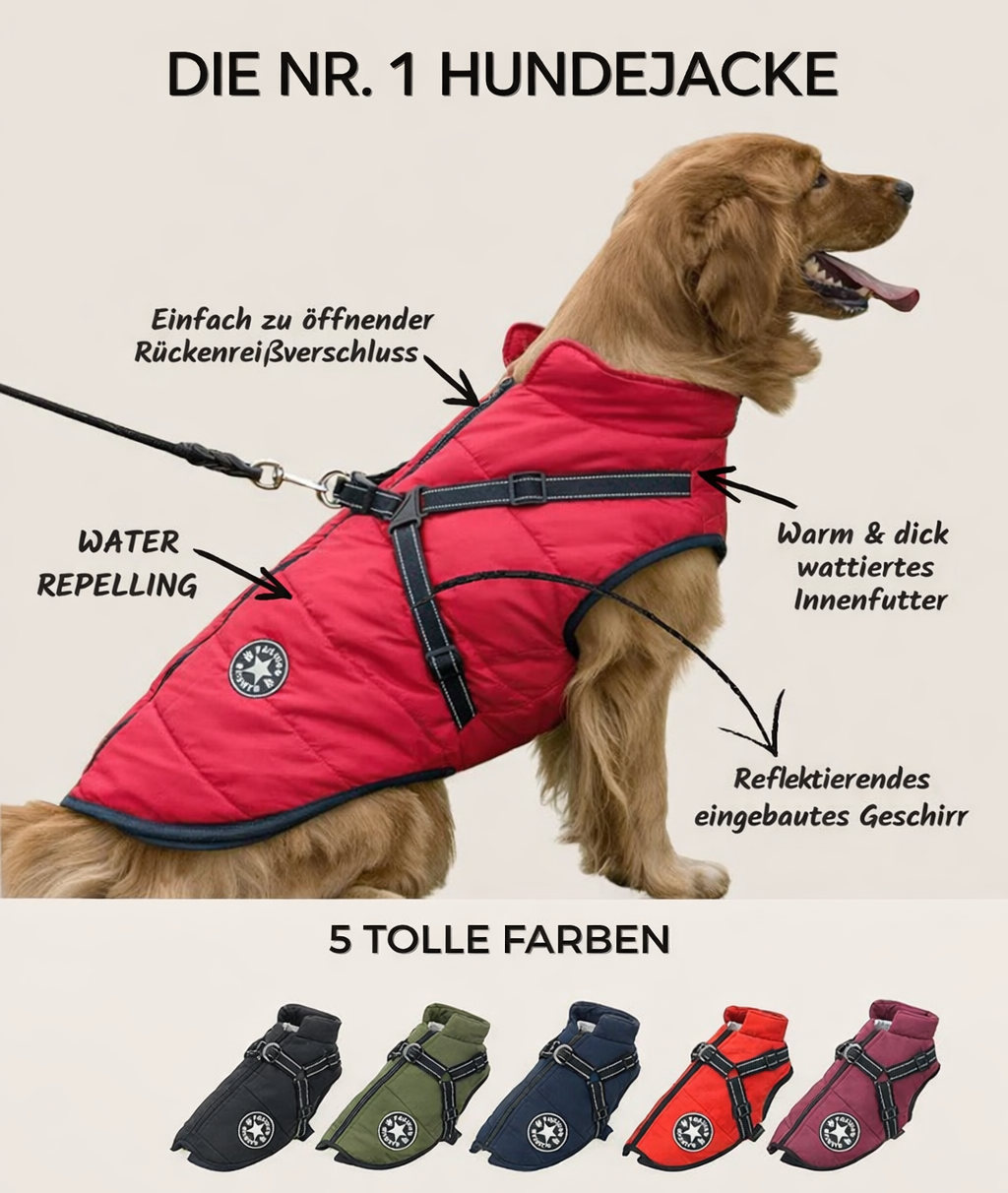 Reflective Windproof and Water-Repellent Dog Jacket with Built-In Harness