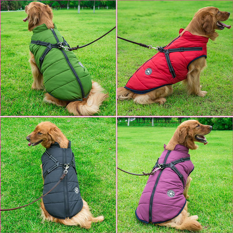 Reflective Windproof and Water-Repellent Dog Jacket with Built-In Harness
