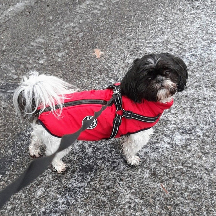 Reflective Windproof and Water-Repellent Dog Jacket with Built-In Harness