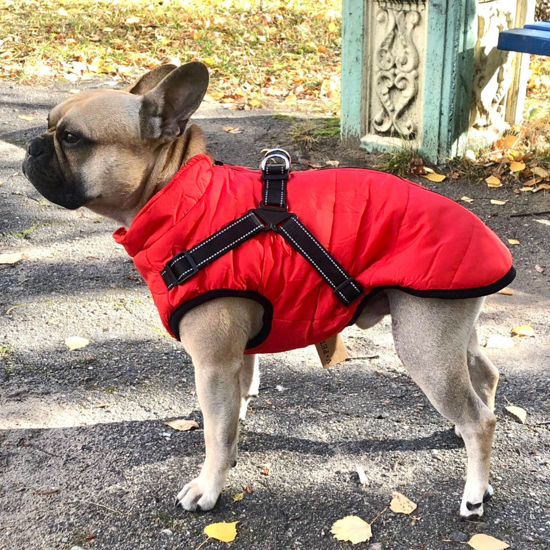 Reflective Windproof and Water-Repellent Dog Jacket with Built-In Harness
