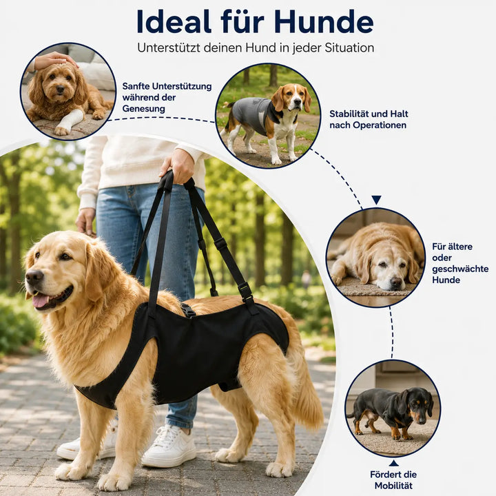 Dog Lifting Harness | Carry Strap for Large Dogs | Everyday Mobility Aid