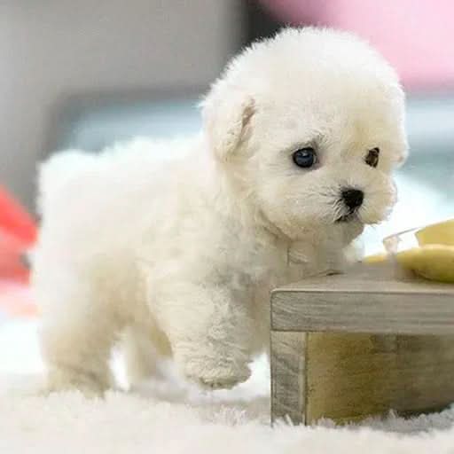 WuffiMotion – Movable Plush Dog for Children for Fun Cuddly Play