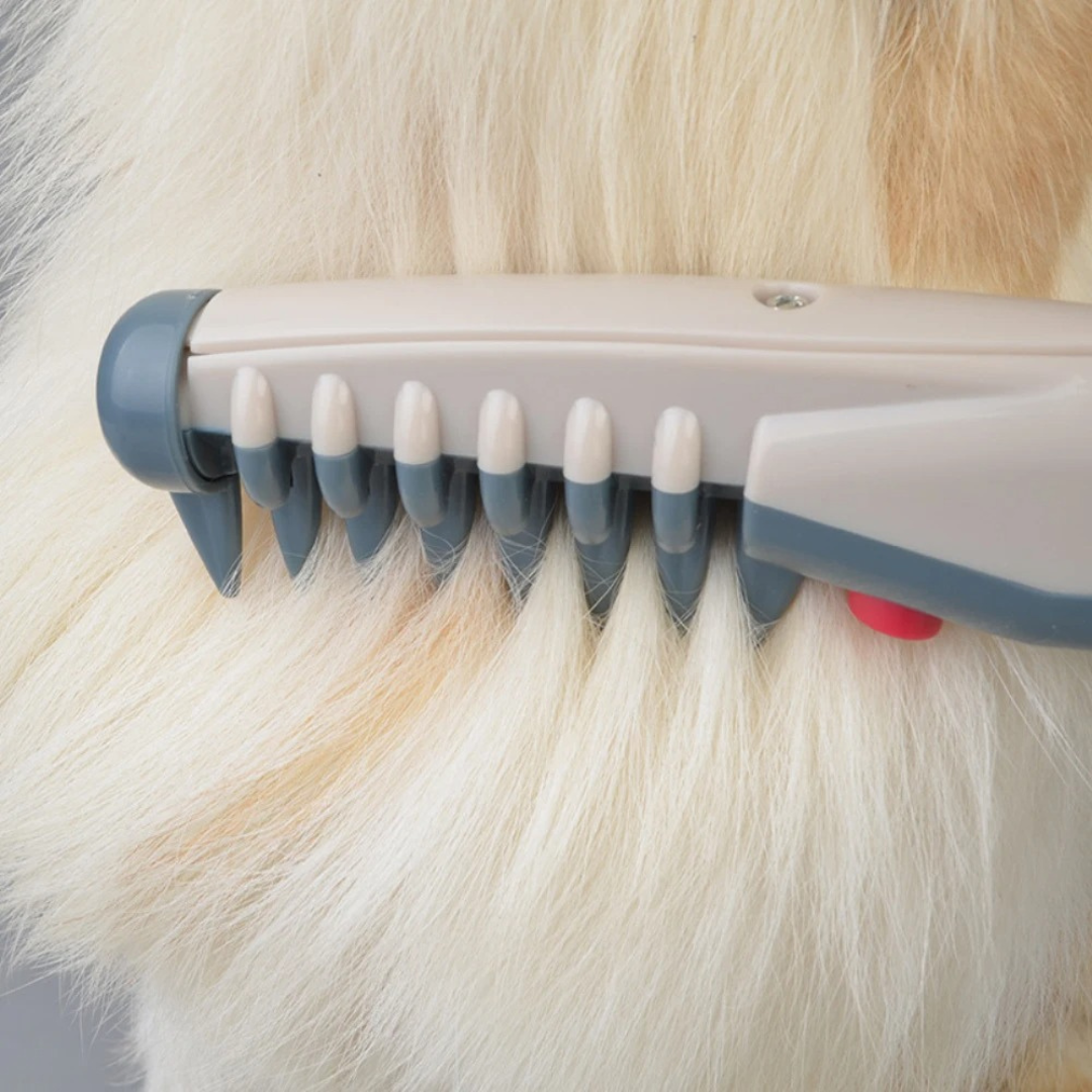 No More Knots and Tangles for Your Pet