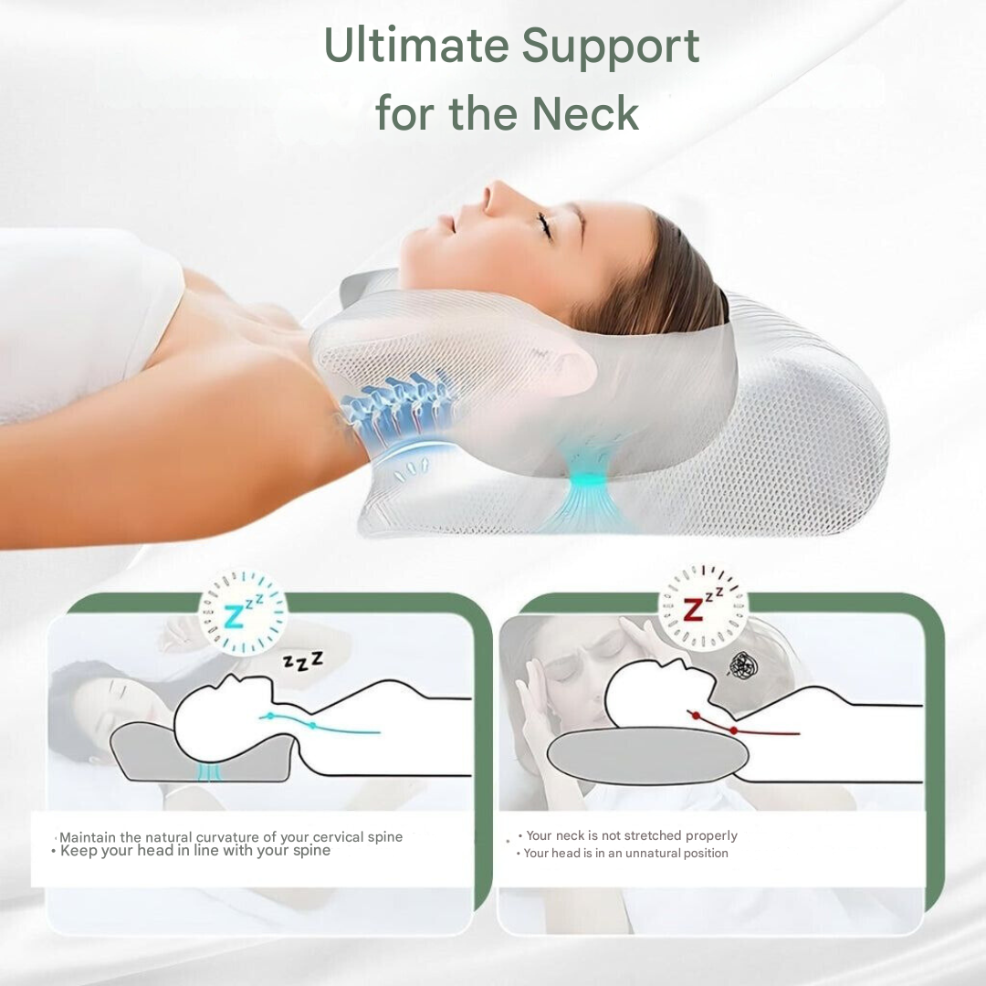 Contoured Orthopaedic Pillow for Back Sleepers