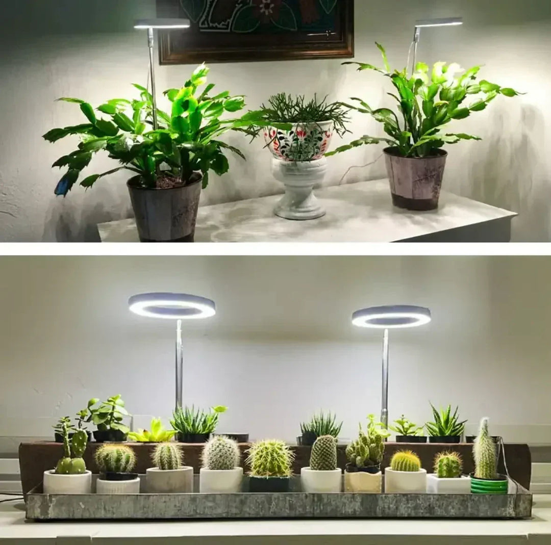 Full-Spectrum LED Grow Light with Timer and Dimming