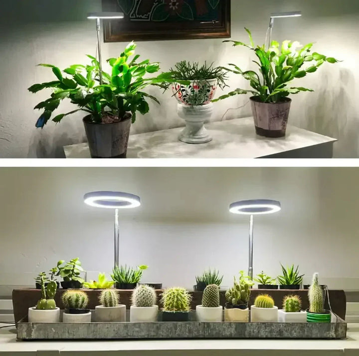 Full-Spectrum LED Grow Light with Timer and Dimming