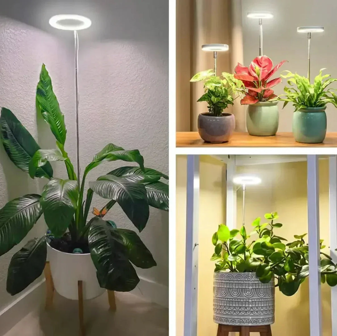 Full-spectrum LED grow light with timer and dimmer