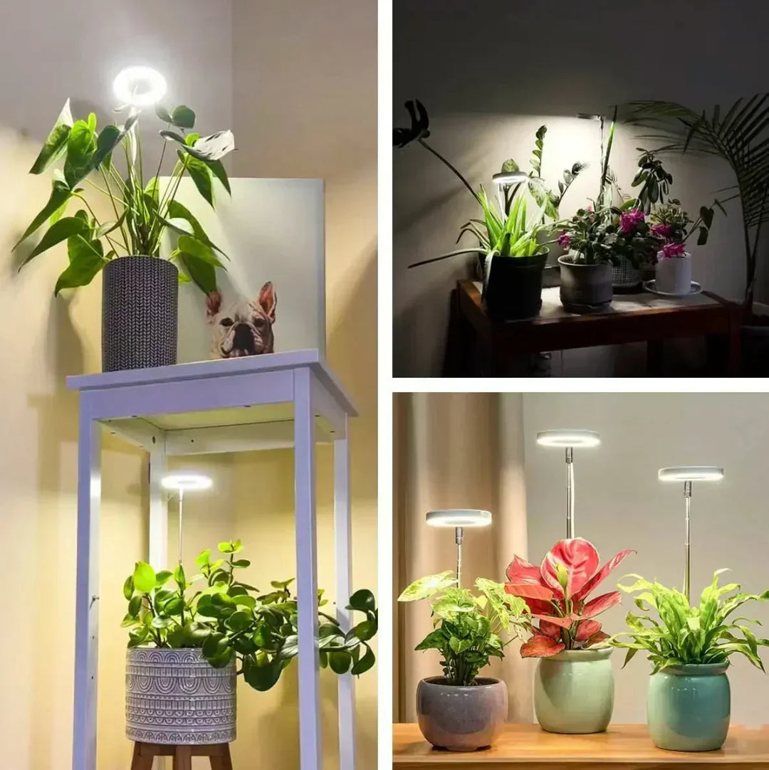 Full-Spectrum LED Grow Light with Timer and Dimming