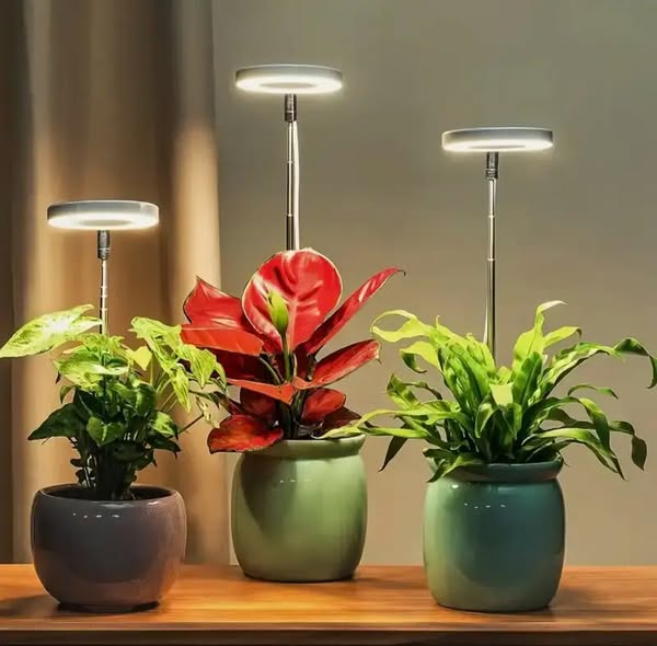 Full-spectrum LED grow light with timer and dimmer