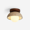 Compact Ceiling Lights for Contemporary Homes