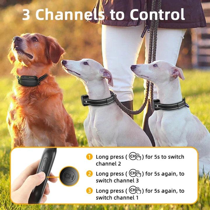 Electric Dog Training Collar with 1000 m Range and Waterproof Design – PetTrainer