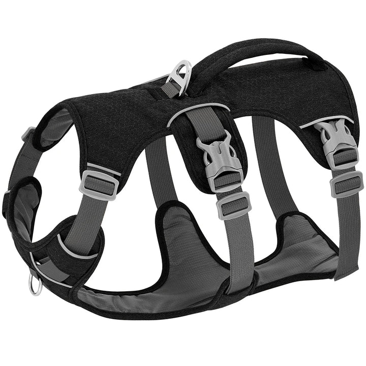 NobleWalk Dog Harness | Adjustable and Breathable Dog Harness with Reflective Stitching