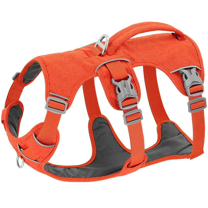 NobleWalk Dog Harness | Adjustable and Breathable Dog Harness with Reflective Stitching