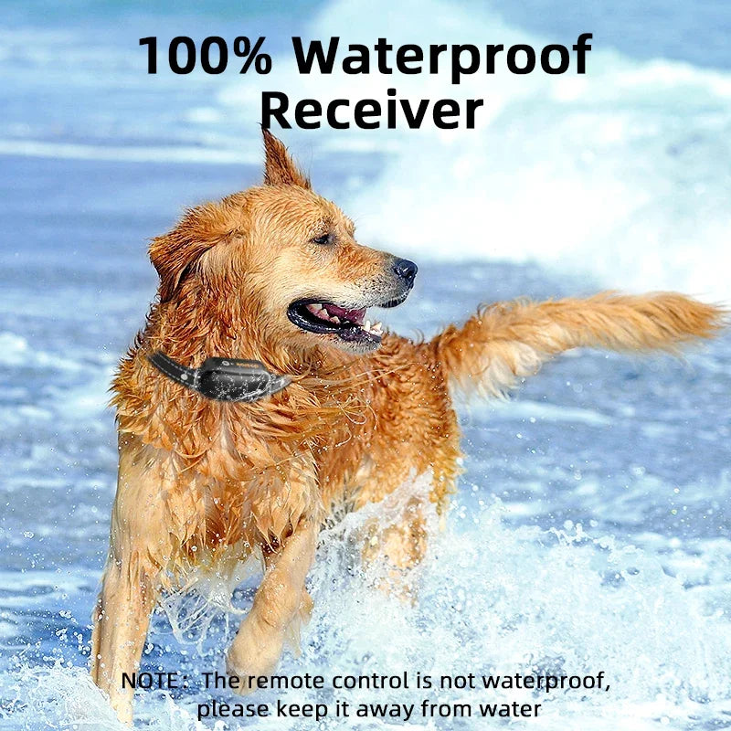 Electric Dog Training Collar with 1000 m Range and Waterproof Design – PetTrainer