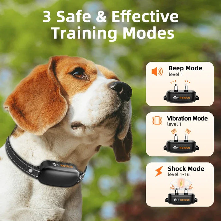 Electric Dog Training Collar with 1000 m Range and Waterproof Design – PetTrainer