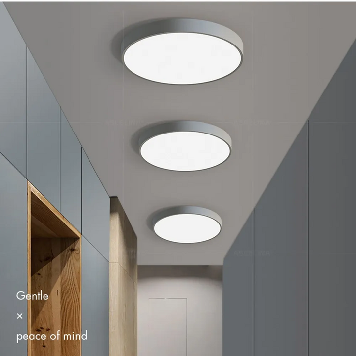 Round LED Ceiling Lamp with Metal Frame