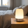 Sunrise Simulation Alarm Clock Lamp – Wakelette
