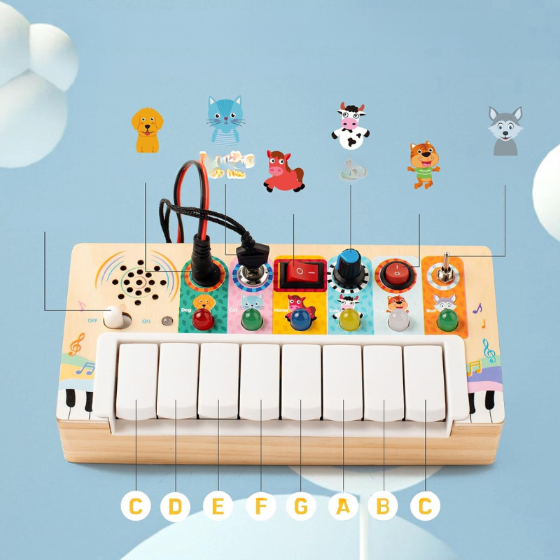 Montessori Play Set for Babies from 6 Months - LearnBuddies